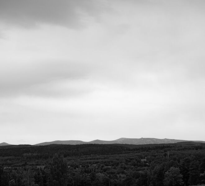 IB4A9123